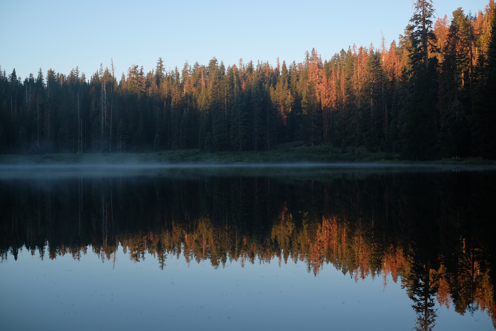 Pasted image 20240214111428.png